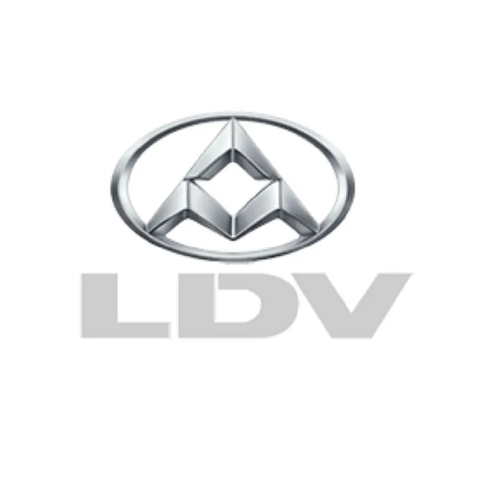 Logo LDV